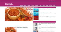 Desktop Screenshot of bilisimweb.com